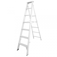 DUAL PURPOSE LADDER