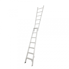 DUAL PURPOSE LADDER